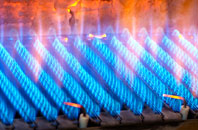 Higher Wambrook gas fired boilers